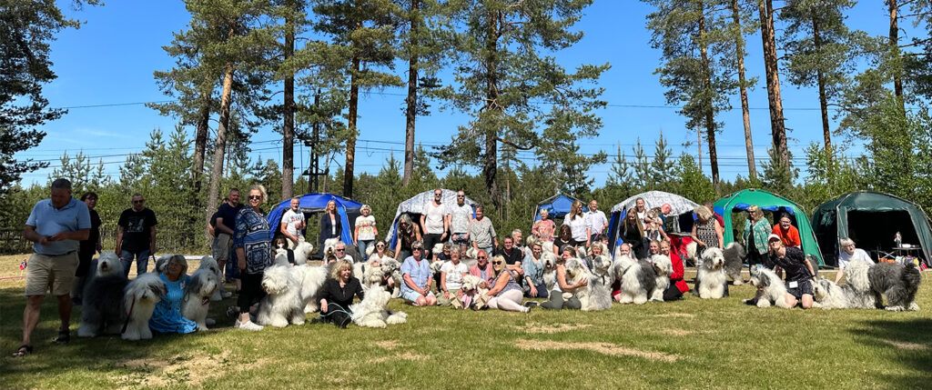 Old English Sheepdog utstilling på Morokulien